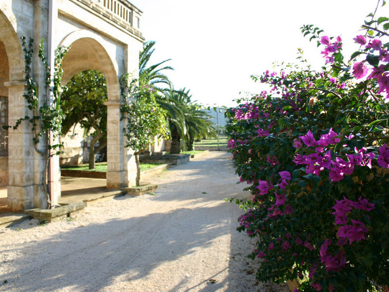 Masseria Salamina