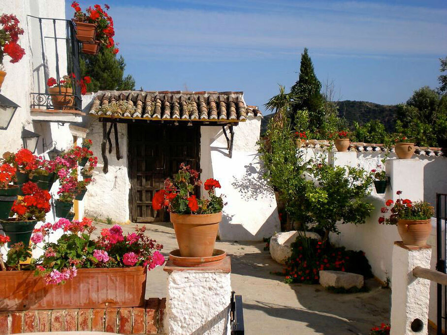 Cortijo Pulgarín Bajo