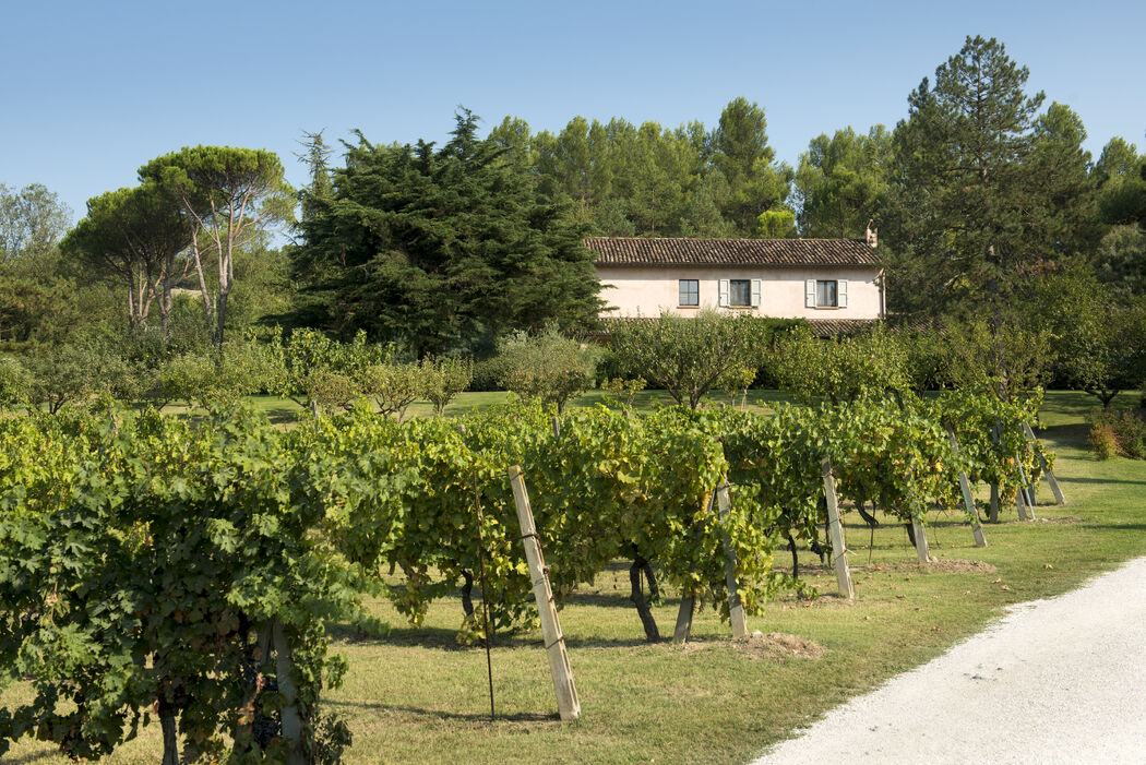 Tenuta Santi Giacomo e Filippo