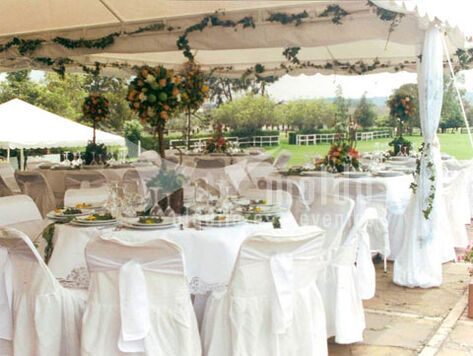 Alquileres y eventos Moldo