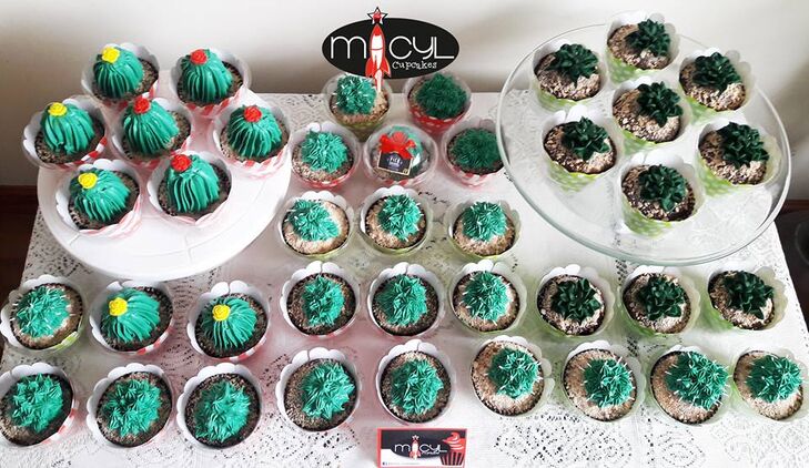 Micyl Cupcakes