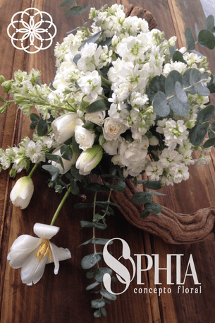 Sophia Concepto Floral