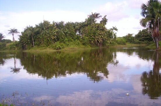 Amazonas Colombia