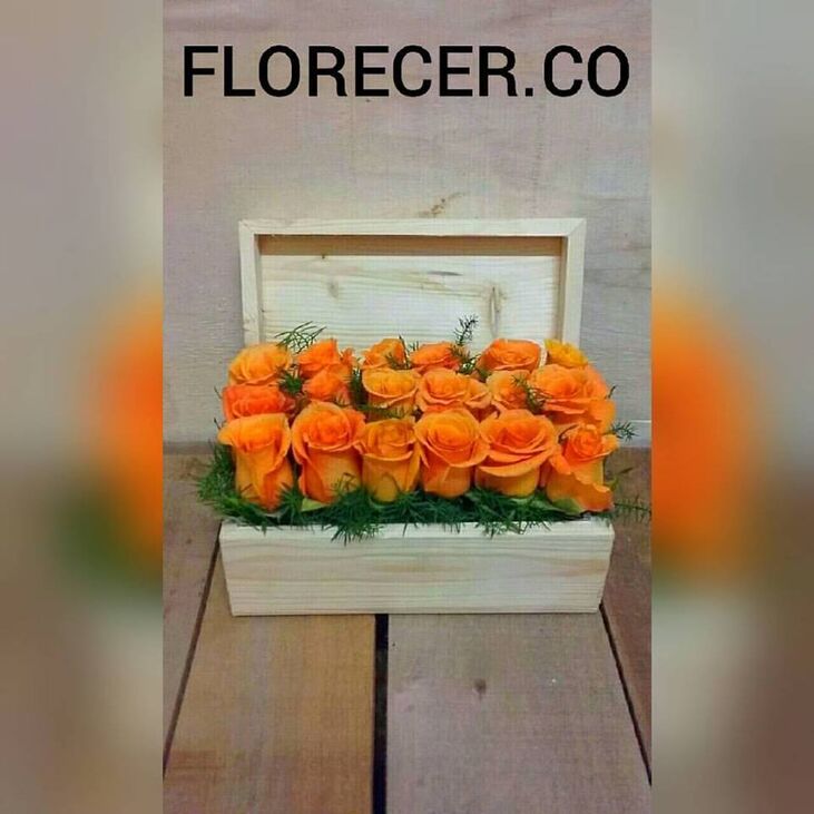 Florecer Tienda Floral