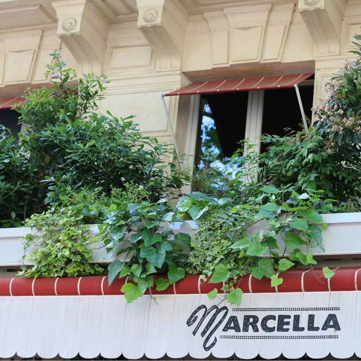 Marcella restaurant