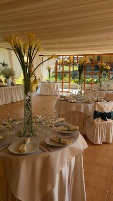 R & M Eventos & Catering