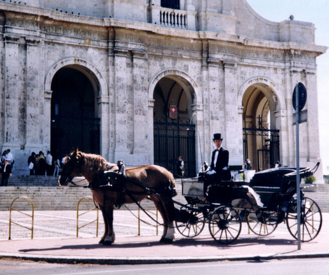 Carrozza Service