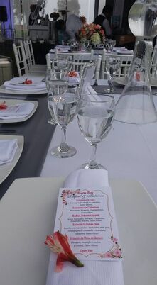 Esfestin Catering y Eventos Especiales