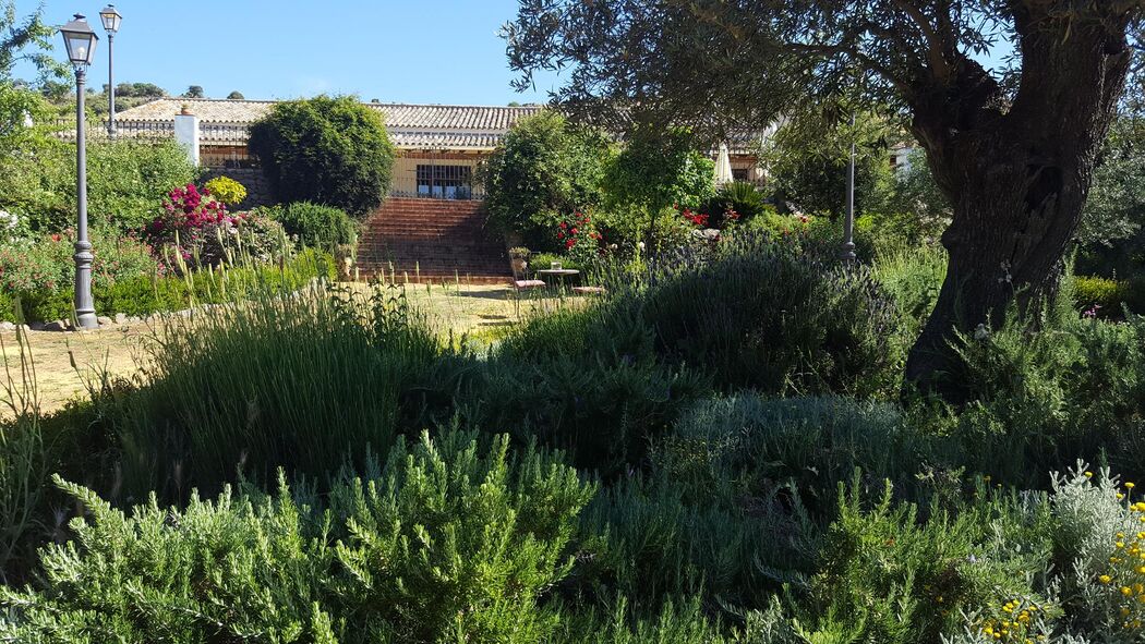 Restaurante Cortijo Vistalegre