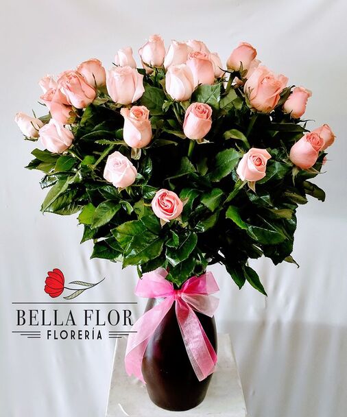 Bella Flor Florería - Opiniones, Fotos y Teléfono