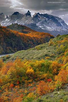 Patagonia Antartica Ltda