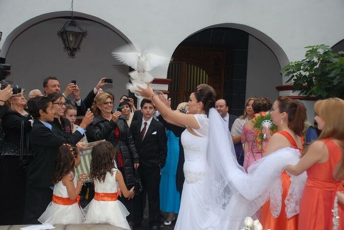Karla Corral Event and Wedding Planner - Querétaro