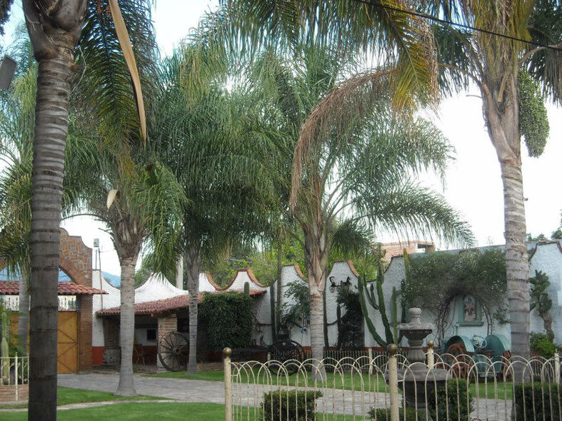 Hacienda De Los Alférez