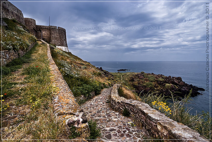 Photografando di Sappia Germano