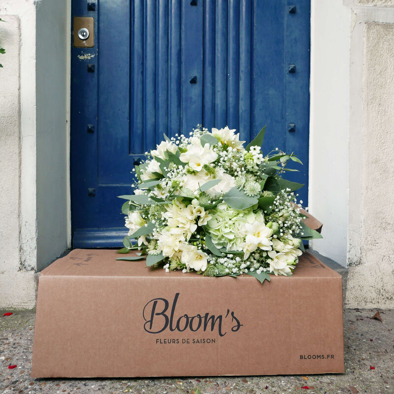 Bloom's