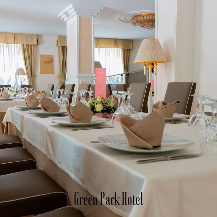 Green Park Hotel Titino
