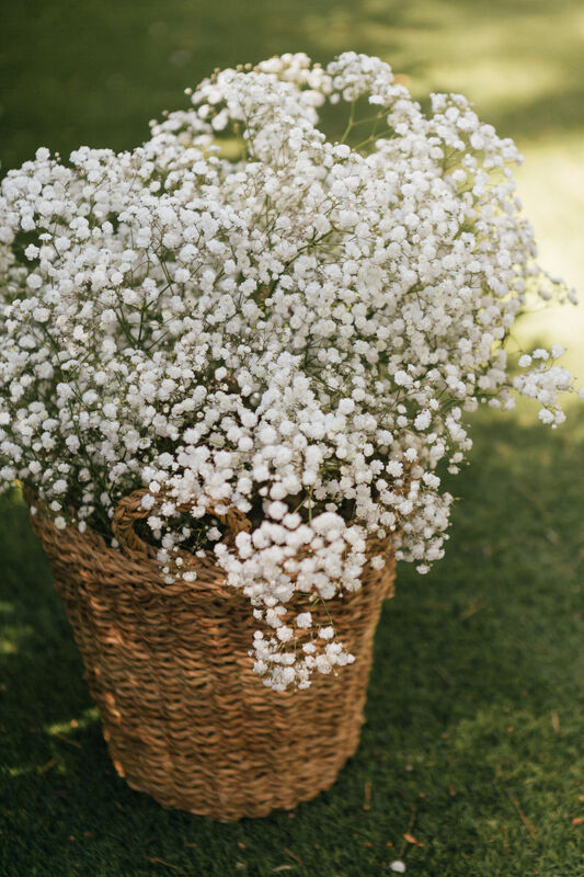 Floristería Chorlit