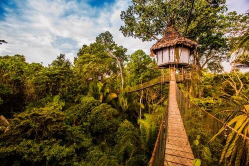 Treehouse Lodge