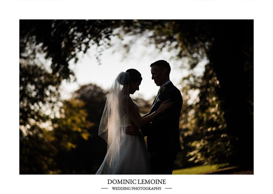 Dominic Lemoine Photography