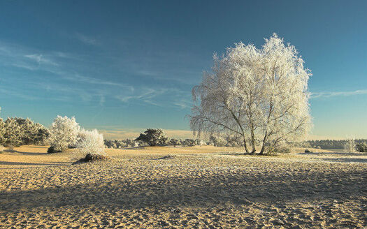 De Soester Duinen