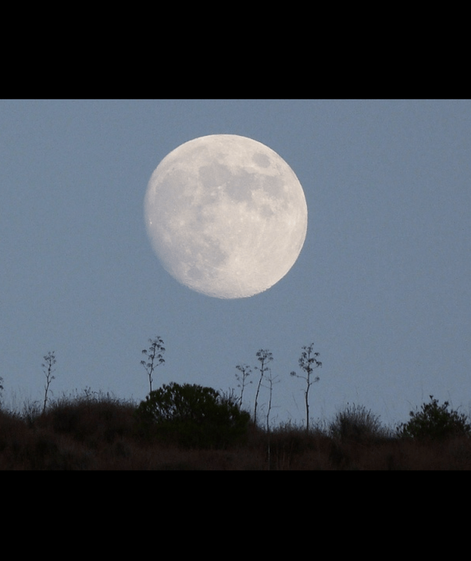 Cortijo Leontino