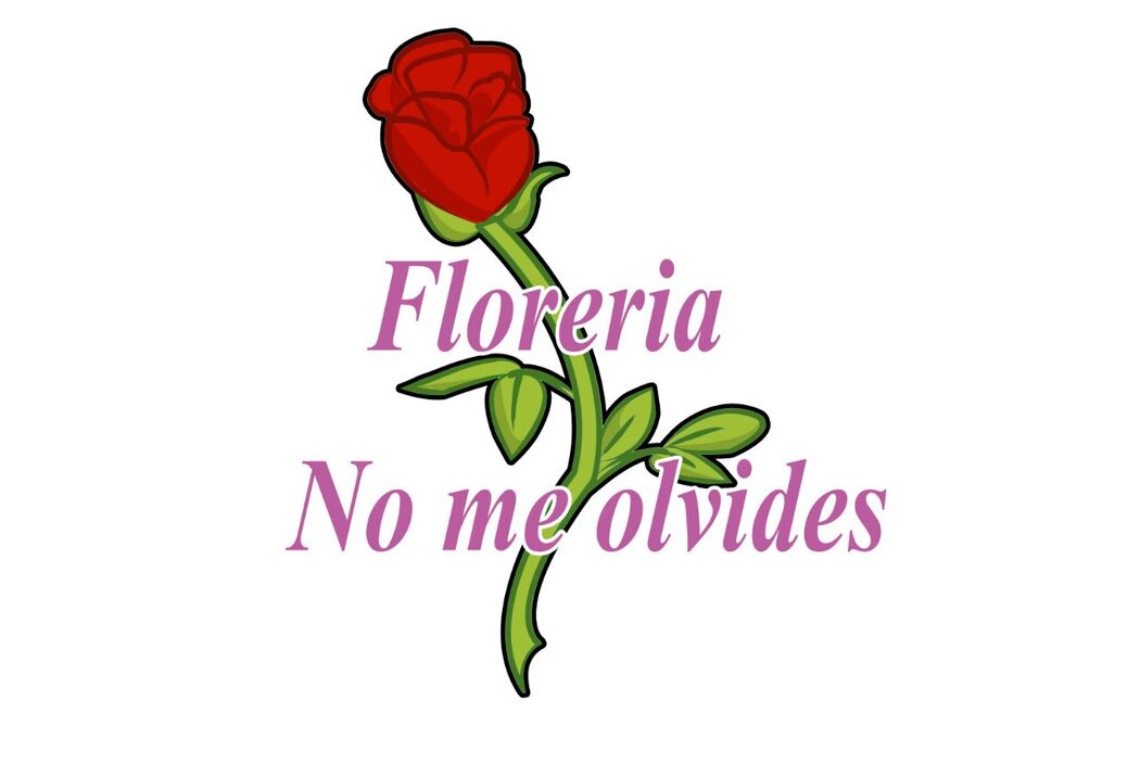 Florería No Me Olvides