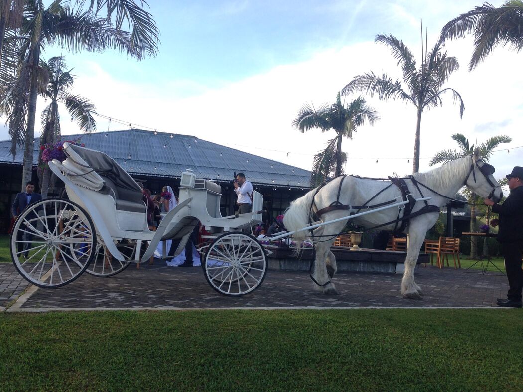 Carros de Bodas Arbeláez Ramírez