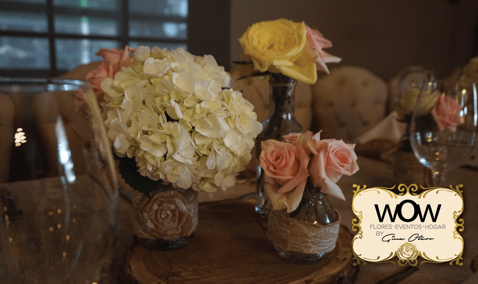 Wow Flores, Eventos y Hogar - Decoradores
