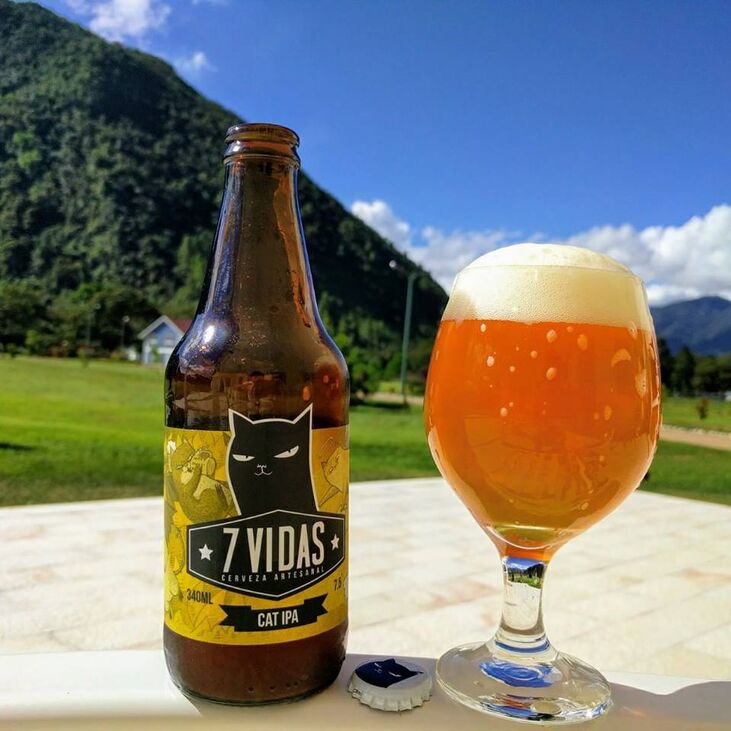 Cerveza 7 Vidas