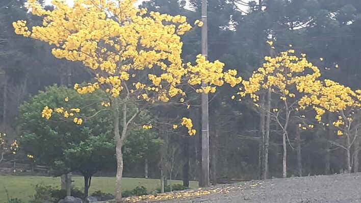 Lago da Serra Eventos