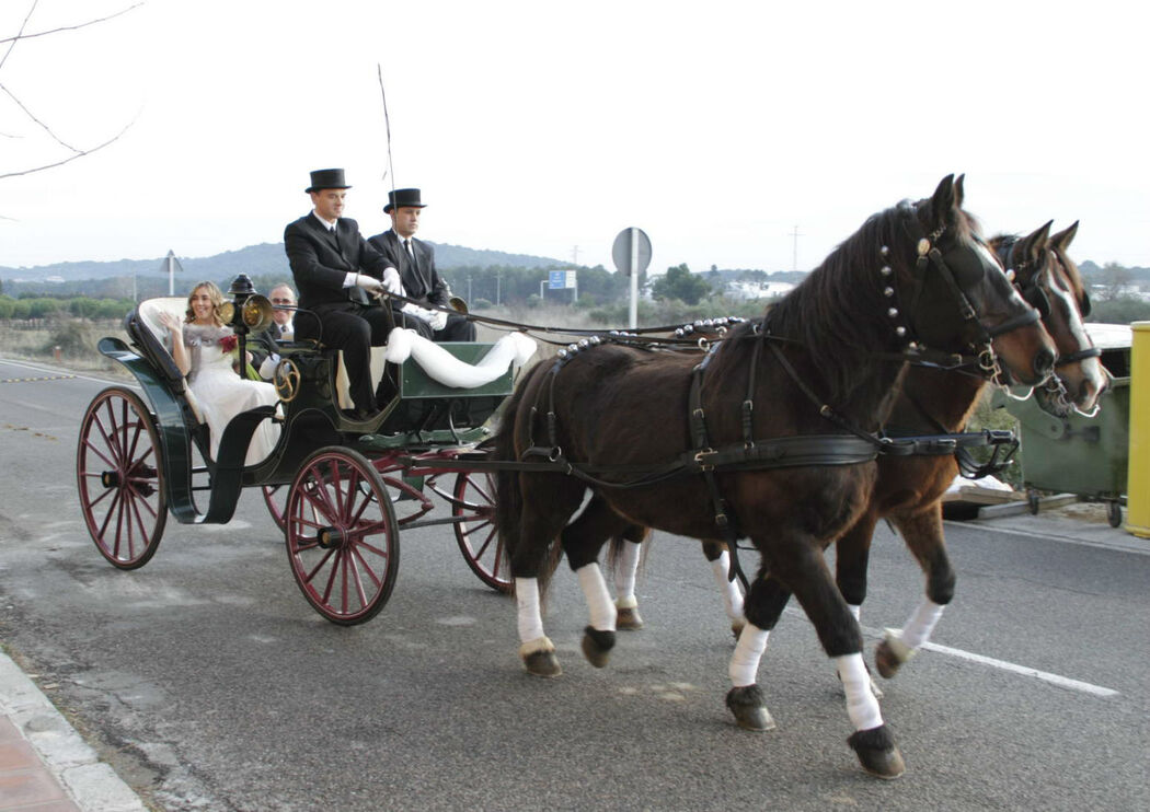 Carruajes Truyols