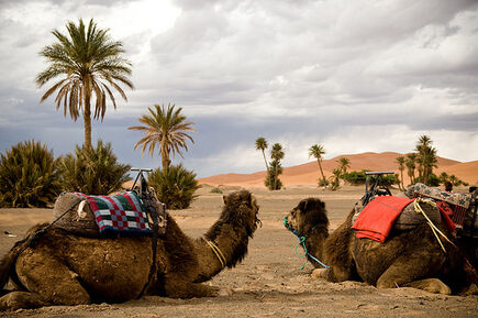 Viajes Amazigh Marruecos