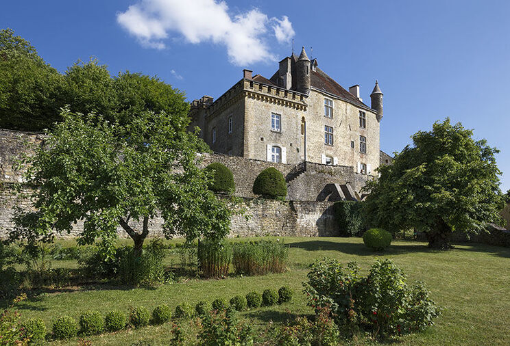 Château De Frontenay