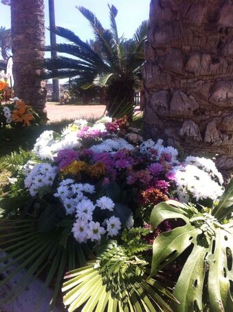 Restaurante El Cortijo de San Ignacio