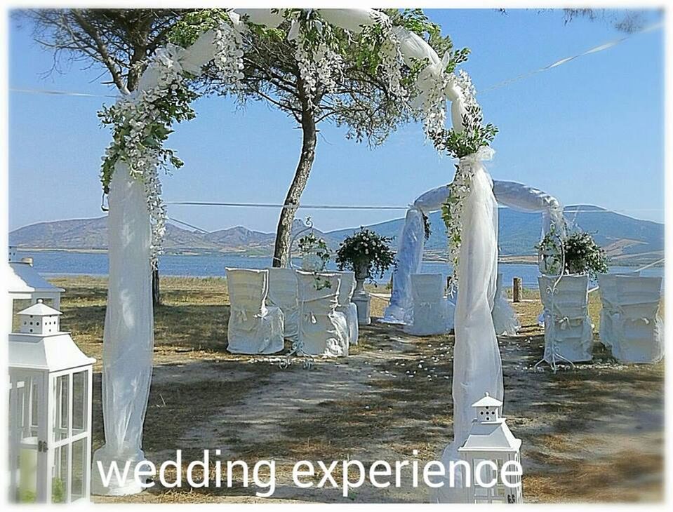 Wedding Experience