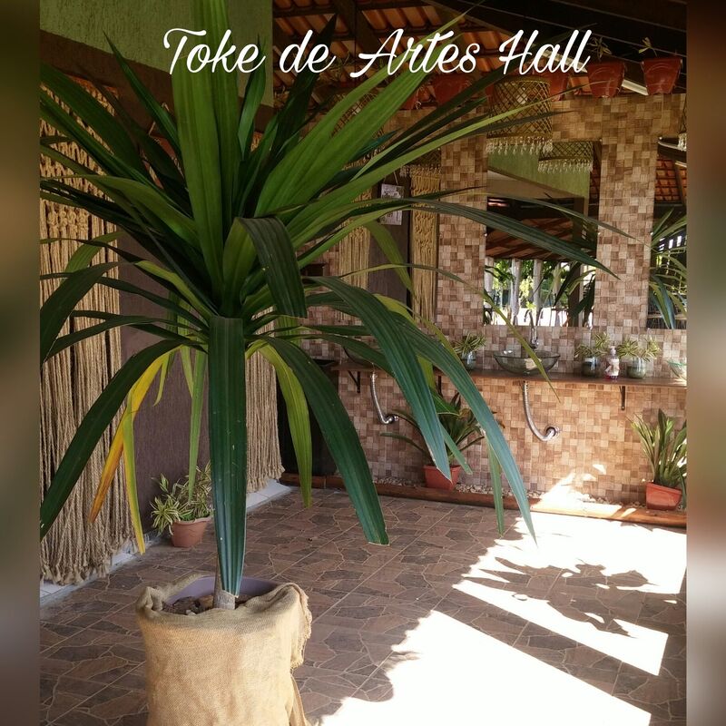 Toke de Artes Hall