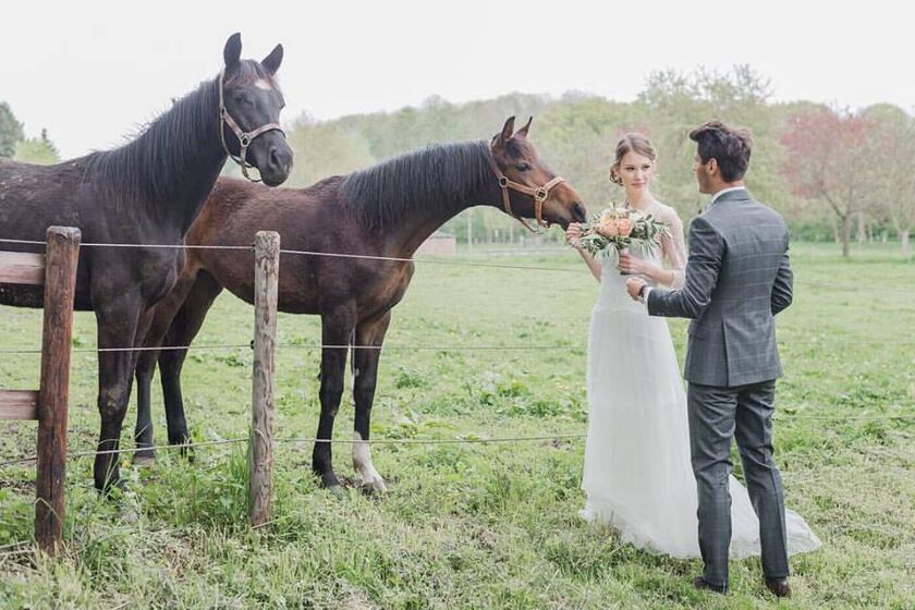 Laboda Wedding