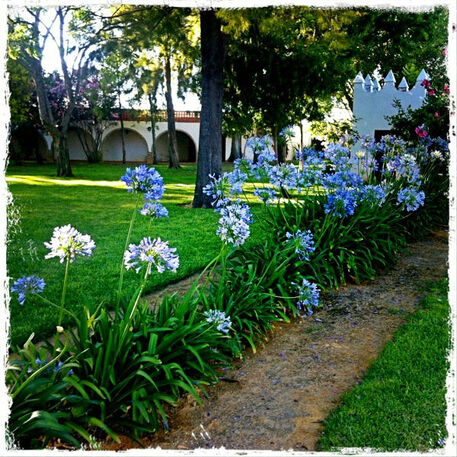 Cortijo de Frías