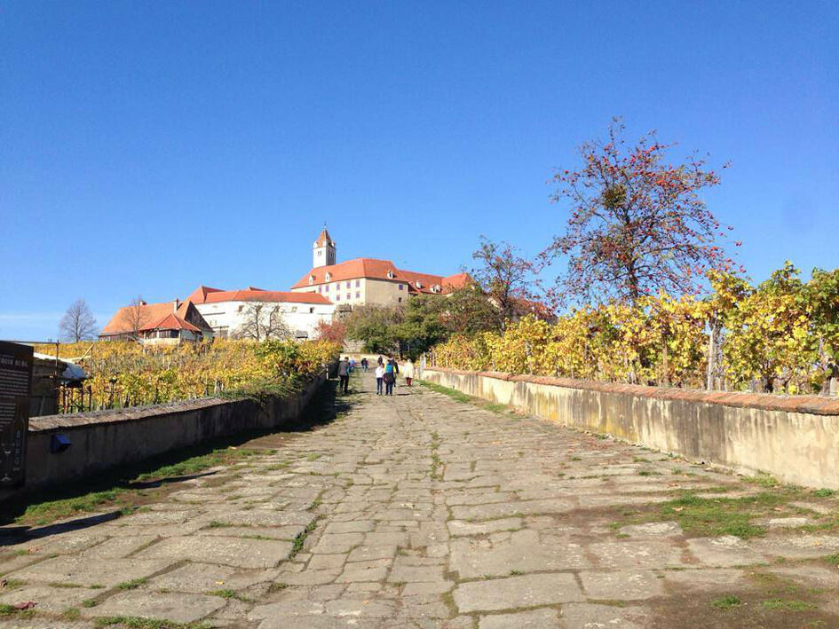 Burg Riegersburg