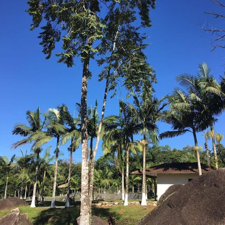 Hotel Fazenda Monte Crista