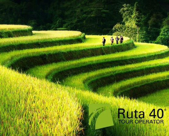 Ruta 40 Independent Travel Designers