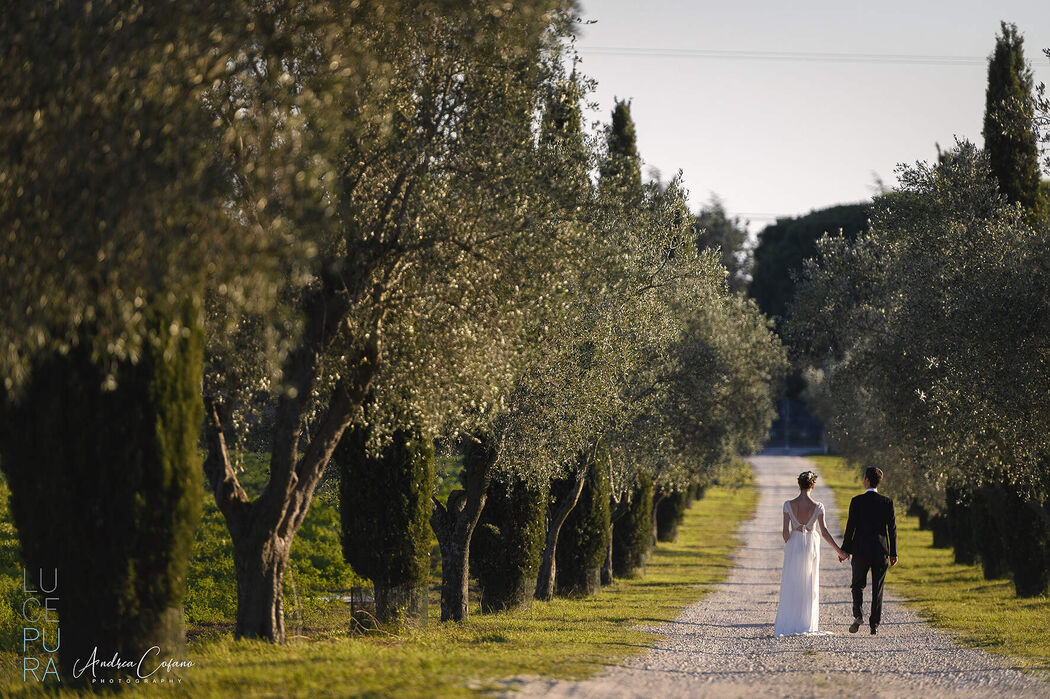 Masseria baccanello