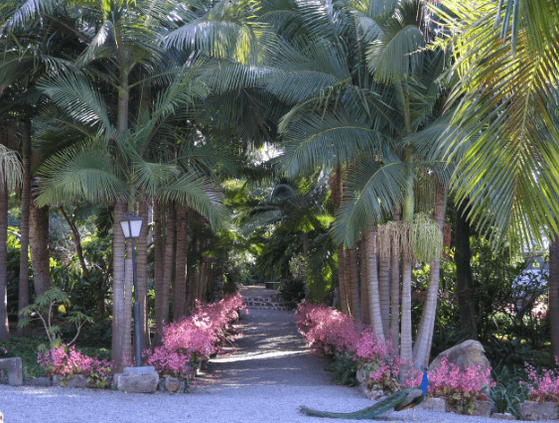El jardín de la Marquesa