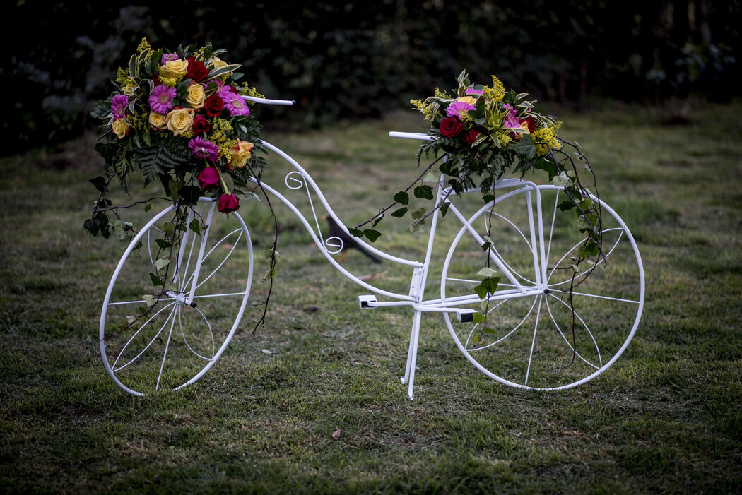 Hacienda Salamanca Wedding House