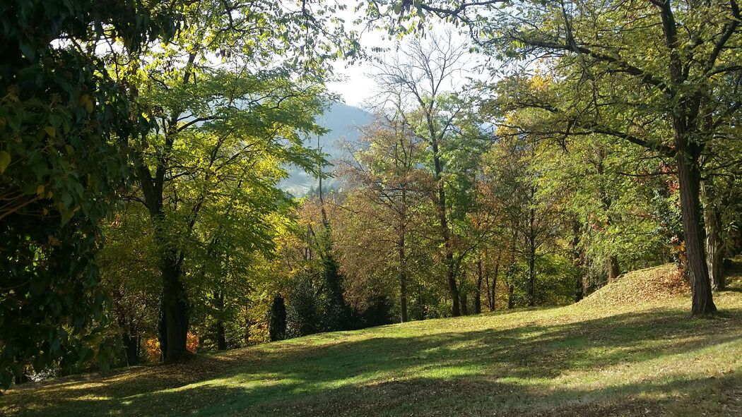 Les Hauts de l'Ermitage - Rebberg