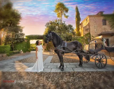 Fotografos De Bodas En Aranjuez