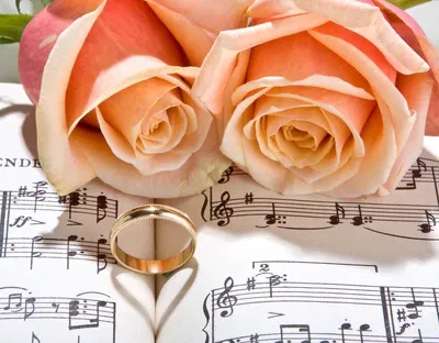 TOP 25 Musicisti per matrimoni - Torino