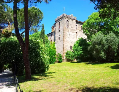 Noleggio verde tovaglia raso - oltreilgiardino