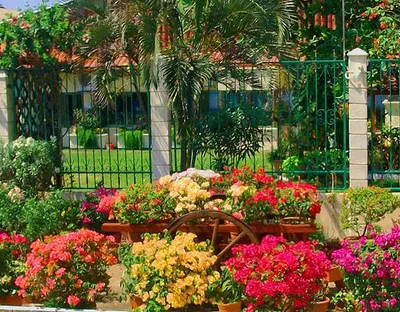 Jardín Las Bugambilias - Opiniones, Fotos y Teléfono